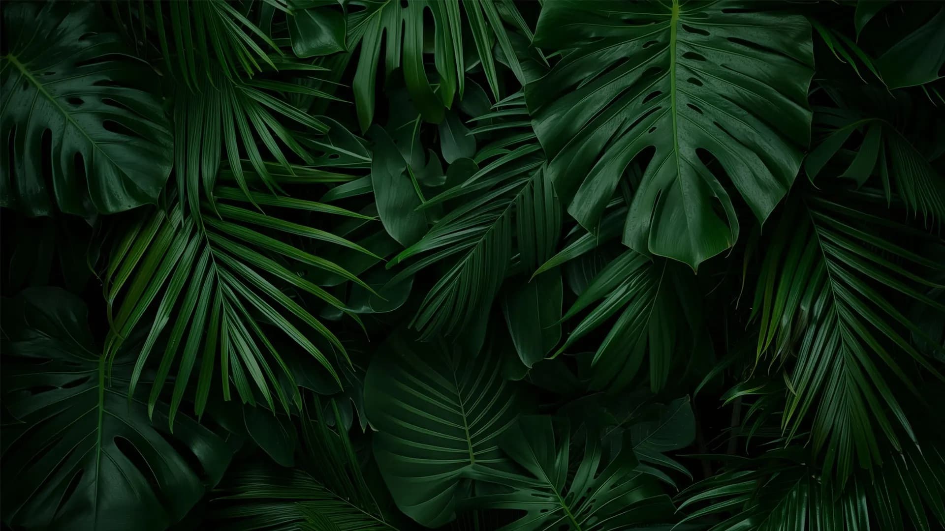 Dark botanical leaf texture